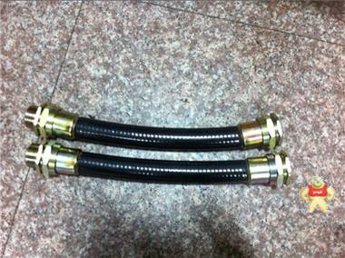 BNG-20*700配密封接头防爆挠性连接管 乐清市浙创防爆电气有限公司销售 防爆挠性连接管,BNG防爆挠性连接管,20*700防爆挠性连接管,防爆软管,防爆连接管