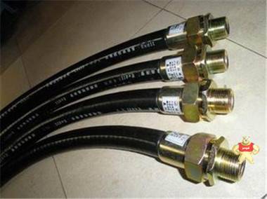 BNG-20*700配密封接头防爆挠性连接管 乐清市浙创防爆电气有限公司销售 防爆挠性连接管,BNG防爆挠性连接管,20*700防爆挠性连接管,防爆软管,防爆连接管