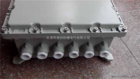 铝合金防爆照明配电箱和粉尘20区防爆箱 浙创防爆销售部