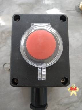 三防操作柱-防水防塵防腐操作柱多少錢-FZC-S報價 防水防塵防腐操作柱,FZC-S 防水防塵防腐操作柱,FZC-S,三防操作柱