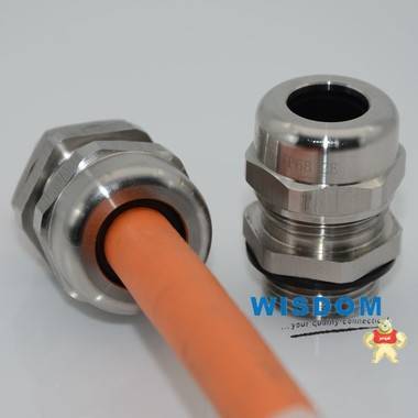 厂家现货供应不锈钢防水接头防爆电缆接头 不锈钢电缆接头,不锈钢防水接头,不锈钢防爆接头,不锈钢电缆防水接头,防水电缆接头