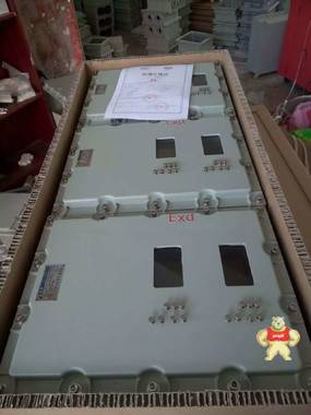 ZC/BXX52系列防爆配电箱（动力）检修箱两灯两按钮一表防爆防腐 防爆配电箱,防爆配电箱,防爆配电箱,防爆配电箱,防爆配电箱