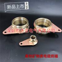 专业供应大规格YTTW/RTTW柔性矿物质电缆头