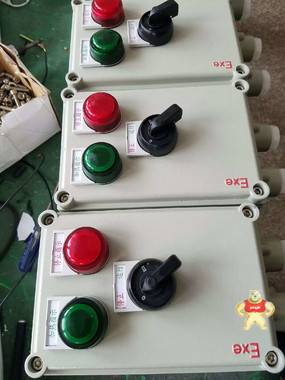 BXMD防爆照明動力配電箱5K6K8K9K10K12K總開100A分開32A廠家生產(chǎn) 防爆照明動力配電箱,防爆照明動力配電箱,防爆照明動力配電箱,防爆照明動力配電箱,防爆照明動力配電箱