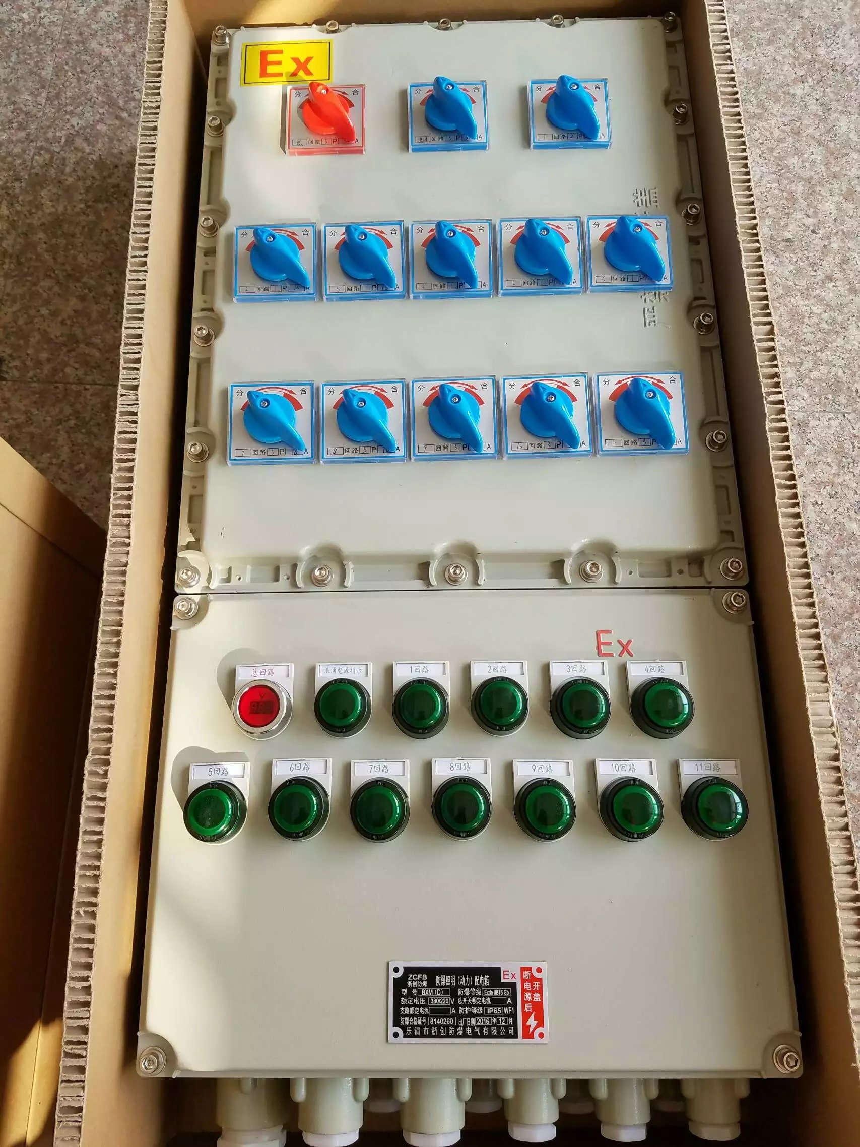 BXD-10K一个总开63A 2个分开一个63A3P一个分开16A带防爆插座插头