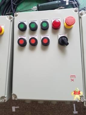 BXX8050-3/16防爆防腐檢修電源箱 BXX8050-3/16,BXX8050-3/16防爆防腐檢修電源箱,防爆防腐檢修電源箱,防爆檢修電源箱,防腐檢修電源箱