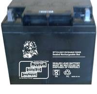 金狮UPS蓄电池ST12-200    金狮12V200AH/10HR铅酸免维护蓄电池 朗旭电子