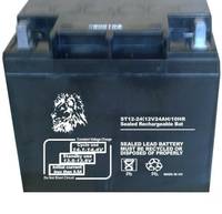 金獅UPS蓄電池ST12-200    金獅12V200AH/10HR鉛酸免維護(hù)蓄電池 朗旭電子