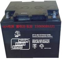 金獅UPS蓄電池ST12-200    金獅12V200AH/10HR鉛酸免維護(hù)蓄電池 朗旭電子