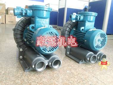 防爆鼓风机,防爆风机,高压防爆风机 防爆鼓风机,防爆高压风机,高压防爆风机,高压防爆风泵