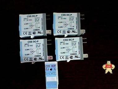 RELECO继电器瑞雷克固态继电器CSS-DCP RELECO继电器,RELECO继电器,瑞雷克固态继电器,CSS-DCP,CSS-DCP
