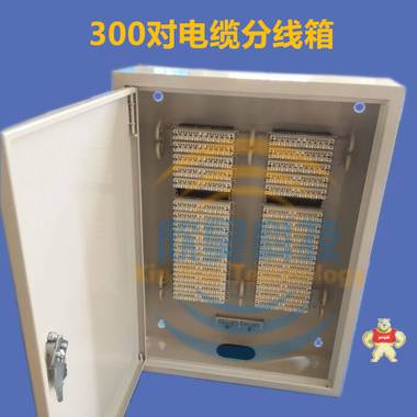 200对电话分线箱HPX-200 慈溪市欣昊通信设备有限公司 200对电话分线箱,200对电缆分线箱,200对电话分线箱价格,200对电缆分线箱报价,200对电话分线箱说明书