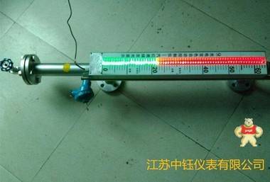 磁敏电子双色液位计 ZYCDS-1-B-L-F,磁敏电子双色液位计,双色液位计