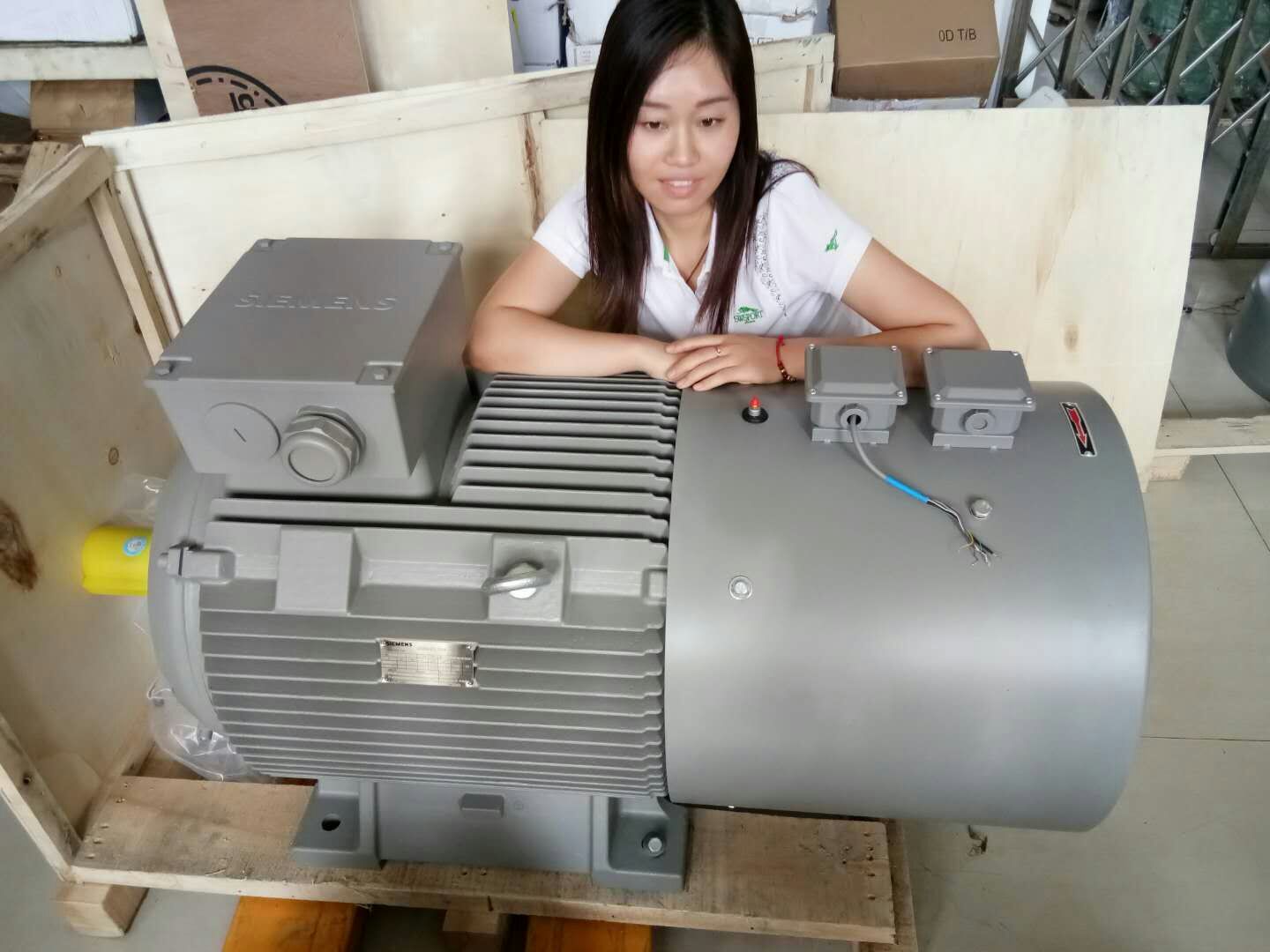 西门子4KW 变频电机 3KW 变频调速电机 4极 可加装编码器2.2KW带轴流风机