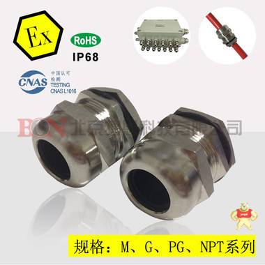 304不锈钢电缆防水接头 防爆格兰头 电缆固定头 电缆密封接头 电缆防水接头,防爆格兰头,电缆固定头,电缆密封接头,电缆压盖