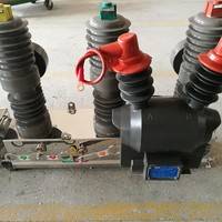 ZW32M-12智能型真空断路器 看门狗 永磁断路器