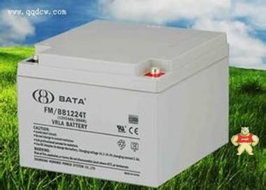 鸿贝 FM/BB1233_12V33AH蓄电池型号FM/BB1233_ FM/BB1233电池报价 FM/BB1233,鸿贝,铅酸蓄电池,免维护蓄电池