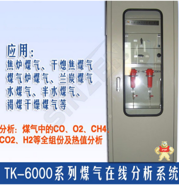 合成氨尿素在线气体分析系统 朗旭电子 TK-5000,气体分析,在线分析,工业过程检测