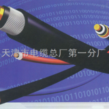 阻燃通信電纜 煤礦電纜MHYSV
