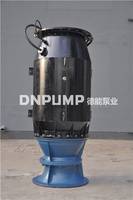 21.抽海水专业泵/德能泵业轴流泵