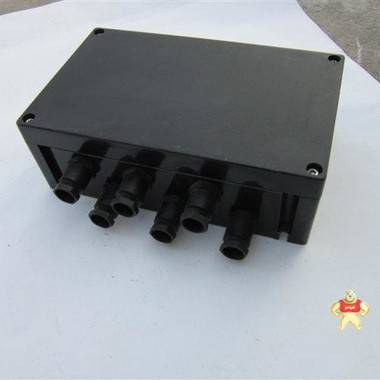 防爆防腐接線箱 防爆防腐接線箱,工程塑料防腐接線箱,防爆接線箱,三防接線箱,不銹鋼防爆接線箱
