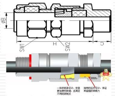 【上海佐观】隔爆型铠装电缆接头 电机格兰头NPT1/2 铠装电缆密封接头,金属铠装葛兰头,防爆铠装格兰头,铠装防爆葛兰头,电缆密封葛兰头