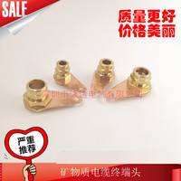 深圳泳达BTTZ矿物质绝缘电缆终端头1*25现货