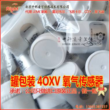 4OXV 氧气传感器 AAY80-390R 4OxLL 40XV CiTiceL CITY OXYGEN 其他品牌