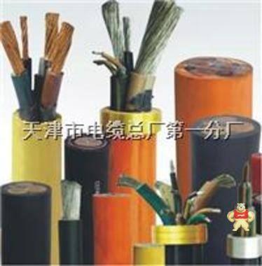 電纜YJY23硅膠電纜KGGP黃石 天津電纜廠以質(zhì)量求生存已管理求發(fā)展的信念真誠為您服務質(zhì)量保障信譽,天津電纜廠以質(zhì)量求生存已管理求發(fā)展的信念真誠為您服務質(zhì)量保障信譽,電纜YJY23硅膠電纜KGGP黃石