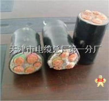 電纜YJY23硅膠電纜KGGP黃石 天津電纜廠以質(zhì)量求生存已管理求發(fā)展的信念真誠為您服務質(zhì)量保障信譽,天津電纜廠以質(zhì)量求生存已管理求發(fā)展的信念真誠為您服務質(zhì)量保障信譽,電纜YJY23硅膠電纜KGGP黃石