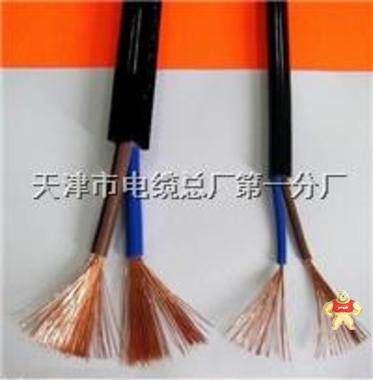 電纜YJY23硅膠電纜KGGP黃石 天津電纜廠以質(zhì)量求生存已管理求發(fā)展的信念真誠為您服務質(zhì)量保障信譽,天津電纜廠以質(zhì)量求生存已管理求發(fā)展的信念真誠為您服務質(zhì)量保障信譽,電纜YJY23硅膠電纜KGGP黃石