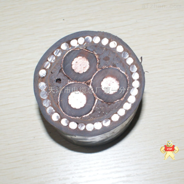 拖鏈電纜現(xiàn)貨KVVRC RVV1G控制電纜 拖鏈電纜現(xiàn)貨KVVRC RVV1G控制電纜,拖鏈電纜現(xiàn)貨KVVRC RVV1G控制電纜,拖鏈電纜現(xiàn)貨KVVRC RVV1G控制電纜
