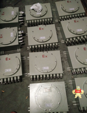 新黎明 XBK 防爆控制箱 防爆按鈕箱 防爆開關(guān)箱 上海新黎明防爆電器有限公司 防爆控制箱,防爆開關(guān)箱,防爆按鈕箱,防爆插座箱,不銹鋼防爆箱