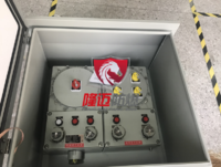 隆迈电气 防爆动力检修插座箱