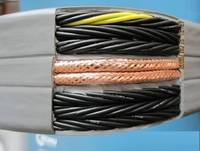 【品质保证 诚信服务】电梯随行屏蔽电缆 TVVBPG 电梯随行扁电缆