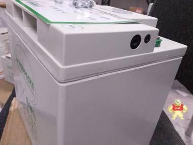 SB12V60荷貝克蓄電池武漢廠家直銷12V63.2 德國(guó)松樹蓄電池,荷貝克蓄電池,德國(guó)荷貝克蓄電池,武漢荷貝克蓄電池,武漢松樹蓄電池