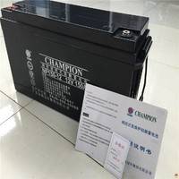12V12AH志成冠軍蓄電池NP12-12UPS電源專用蓄電池