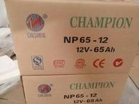 12V12AH志成冠軍蓄電池NP12-12UPS電源專用蓄電池