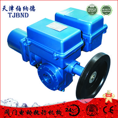 引進國外技術(shù)SD系列AS/25/F30H 伯納德,執(zhí)行器,電動執(zhí)行器,電動執(zhí)行機構(gòu),電動裝置