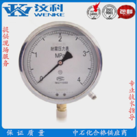 耐震压力表YTN-100 不锈钢压力表 隔膜耐震
