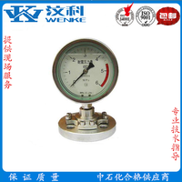 耐震压力表YTN-100 不锈钢压力表 隔膜耐震
