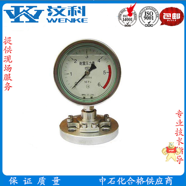 耐震压力表YTN-100 不锈钢压力表 隔膜耐震 压力表,不锈钢压力表,耐震压力表,YTN-100,隔膜耐震压力表