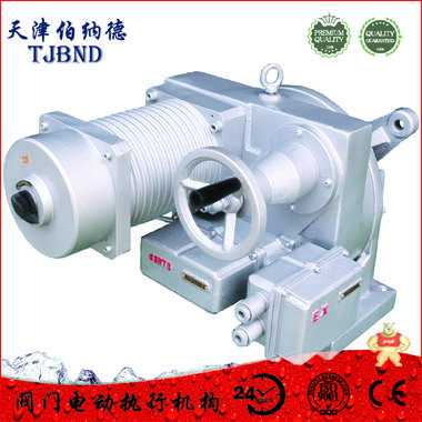 天津伯納德DKJ系列開關型DKJ-4100/M 伯納德,執(zhí)行器,電動執(zhí)行器,電動執(zhí)行機構,電動裝置