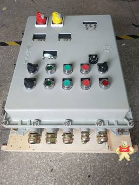 BXK-T防爆电气控制柜 防爆变频器控制柜设计生产加工 防爆控制柜,防爆电气控制柜,防爆变频器,防爆变频器控制柜,防爆控制柜加工