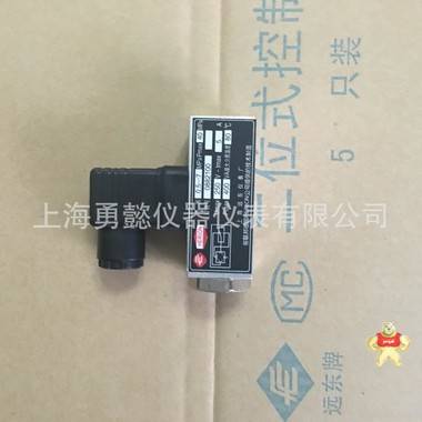壓力開關(guān)控制器-D500/18D壓力控制器廠家價(jià)格圖片 儀器儀表,壓力開關(guān)控制器,控制器