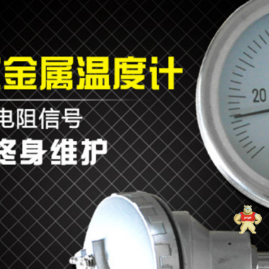 上海自仪三厂 带热电偶/热电阻远传双金属温度计 WSSP-483 4-20mA 仪器仪表,仪器,仪表