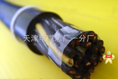 ia-DJYJVP2-22本安仪表信号屏蔽控制电缆 报价 ia-DJYJVP2-22,ia-DJYJVP2-22,ia-DJYJVP2-22