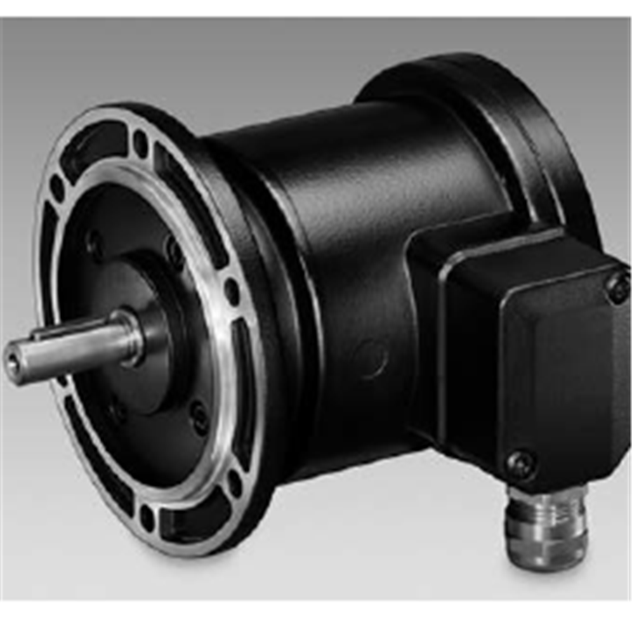 瑞士堡盟霍伯纳编码器HOG9GDN1024I/DN100R上海总代理现货