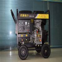 250A發(fā)電電焊機  投標(biāo)用管道氬弧發(fā)電電焊機一體機