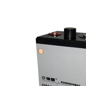 上海保护神蓄电池6-GFM-80复华蓄电池12V80AH